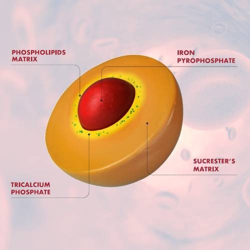 Sucrosomial® Technology